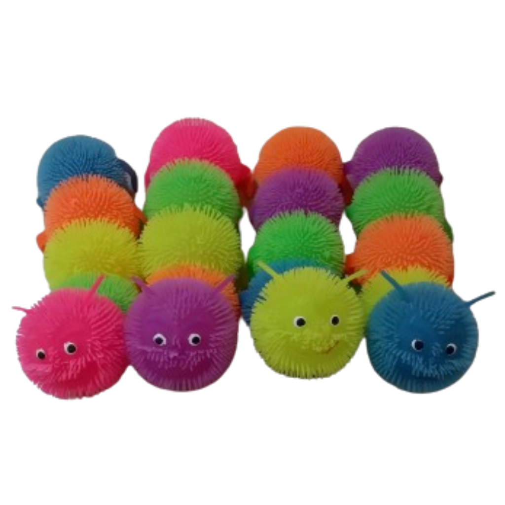 assorted caterpilla