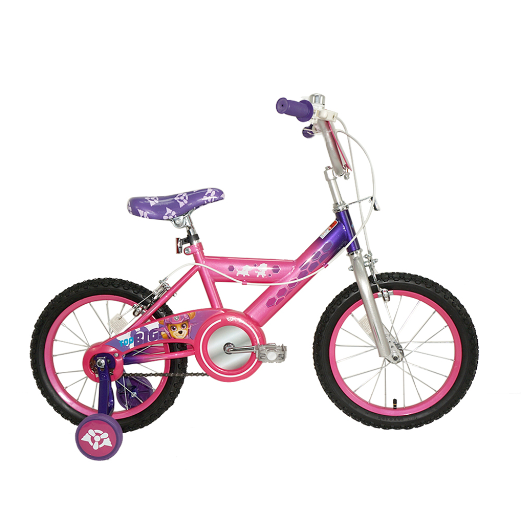 paw patrol girl 5 bicycle standard