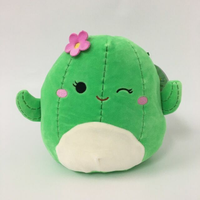 Cactus Squishmallows – D'best Toys