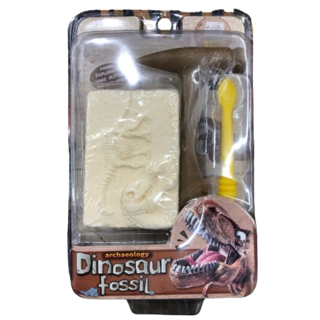 dinosaur fossil