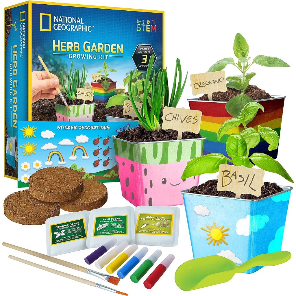 national geographic herb growing kit for kids3